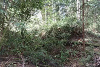 3659 Green Mountain Road NW, Bremerton, WA 98312 - Photo 4