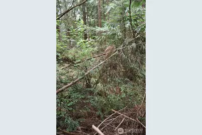 3659 Green Mountain Road NW, Bremerton, WA 98312 - Photo 24