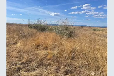 35251 Crescent Road N #3, Reardan, WA 99029 - Photo 14