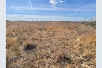 35251 Crescent Road N #3, Reardan, WA 99029 - Photo 12