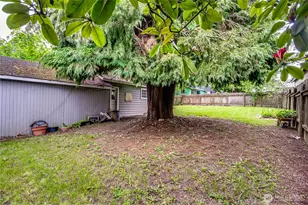 9817 35th Ave SW, Seattle, WA 98126 - Photo 12