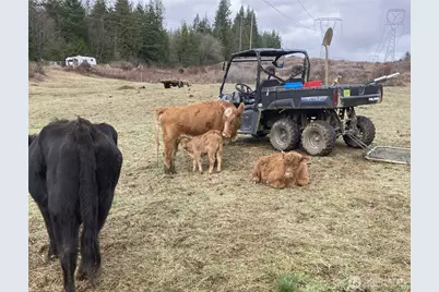 25451 Lake Cavanaugh Road, Mount Vernon, WA 98274 - Photo 38