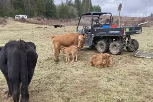 25451 Lake Cavanaugh Rd, Mount Vernon, WA 98274 - Photo 38