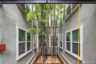 905 NE 43rd St, Seattle, WA 98105 - Photo 20