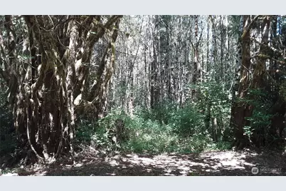 0 236Xxx Us-101, Port Angeles, WA 98363 - Photo 6