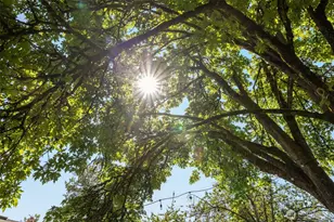 11216 E Riverside Dr, Bothell, WA 98011 - Photo 24