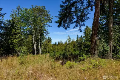 0 Xx Township Line Road, Port Angeles, WA 98362 - Photo 1
