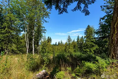 0 Xx Township Line Road, Port Angeles, WA 98362 - Photo 2