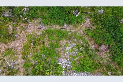 0 Xx Township Line Road, Port Angeles, WA 98362 - Photo 18