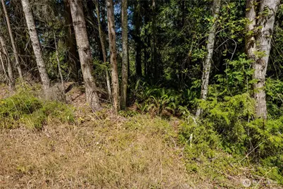 0 Xx Township Line Road, Port Angeles, WA 98362 - Photo 6