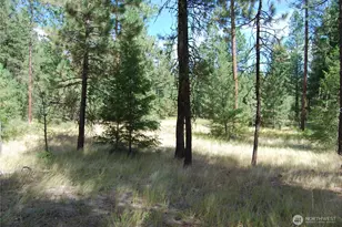 31 Summit Lake Rd, Tonasket, WA 98855 - Photo 28