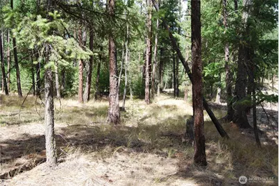 31 Summit Lake Rd, Tonasket, WA 98855 - Photo 34