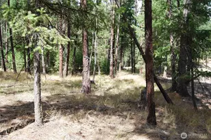 31 Summit Lake Rd, Tonasket, WA 98855 - Photo 34