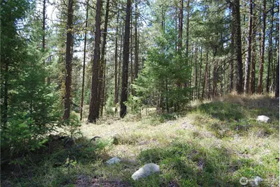 31 Summit Lake Rd, Tonasket, WA 98855 - Photo 32