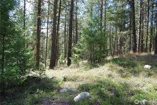 31 Summit Lake Rd, Tonasket, WA 98855 - Photo 32