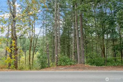 17614 Clearlake Boulevard SE, Yelm, WA 98597 - Photo 1