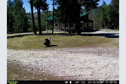 1733 Old Cc Road, Addy, WA 99101 - Photo 6