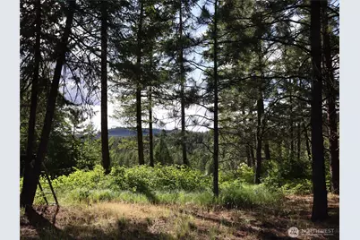 1733 Old Cc Road, Addy, WA 99101 - Photo 26