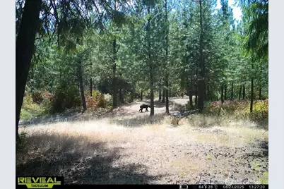 1733 Old Cc Road, Addy, WA 99101 - Photo 32
