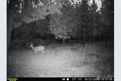1733 Old Cc Road, Addy, WA 99101 - Photo 24