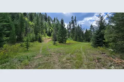1733 Old Cc Road, Addy, WA 99101 - Photo 12
