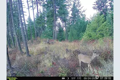 1733 Old Cc Road, Addy, WA 99101 - Photo 30