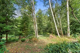 886 21 Salmon Creek Rd, Mossyrock, WA 98564 - Photo 36