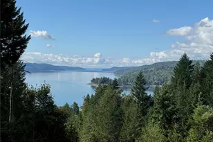 31 Hood Pl, Brinnon, WA 98320 - Photo 2