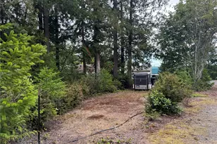 31 Hood Pl, Brinnon, WA 98320 - Photo 36