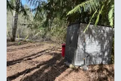 61 E Woods Place, Belfair, WA 98528 - Photo 6