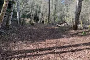 61 E Woods Pl, Belfair, WA 98528 - Photo 1