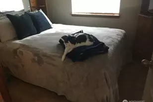 4532 Abalone Street, Bremerton, WA 98310 - Photo 10