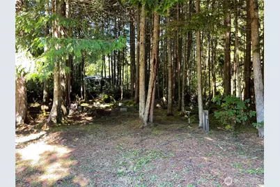 55 Paradise Lane, Pacific Beach, WA 98571 - Photo 30