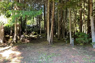 55 Paradise Ln, Pacific Beach, WA 98571 - Photo 30