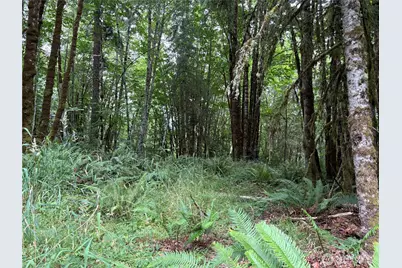 0 P#61828 Brussat, Kelso, WA 98626 - Photo 8