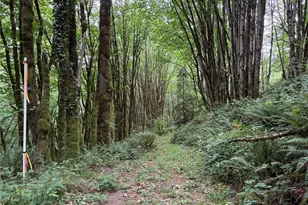 0 P#61828 Brussat, Kelso, WA 98626 - Photo 1