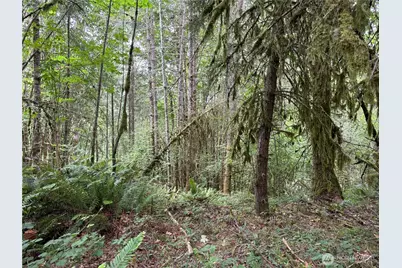 0 P#61828 Brussat, Kelso, WA 98626 - Photo 10