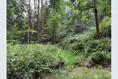 0 P#61828 Brussat, Kelso, WA 98626 - Photo 6