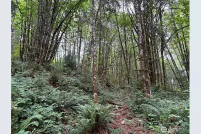 0 P#61828 Brussat, Kelso, WA 98626 - Photo 14