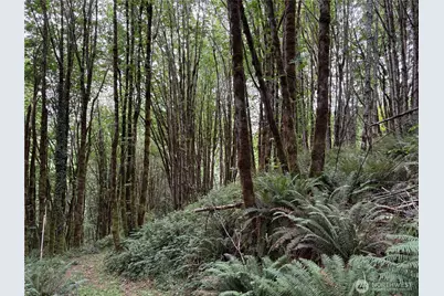 0 P#61828 Brussat, Kelso, WA 98626 - Photo 2