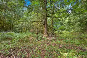 7326 Mt Baker Hwy, Maple Falls, WA 98244 - Photo 20