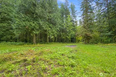 7326 Mt. Baker Highway, Maple Falls, WA 98244 - Photo 12