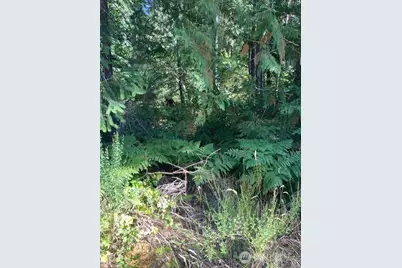 21 N Goldeneye Drive, Hoodsport, WA 98548 - Photo 1
