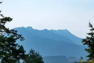 1530 1532 W 7th St, Port Angeles, WA 98363 - Photo 4