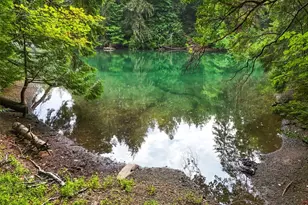 8305 Schirm Rd NW, Olympia, WA 98502 - Photo 38