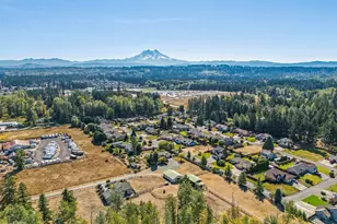 6704 224th St E, Spanaway, WA 98387 - Photo 38