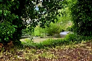 55 Church Rd, McCleary, WA 98557 - Photo 40