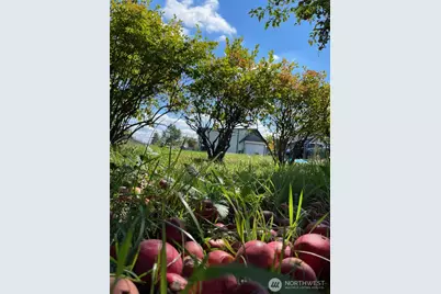 24507 Meridian Avenue E, Graham, WA 98338 - Photo 36