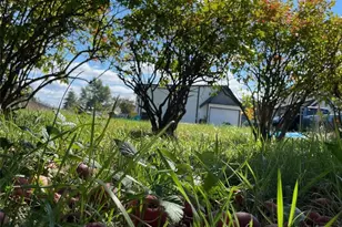 24507 Meridian Ave E, Graham, WA 98338 - Photo 36