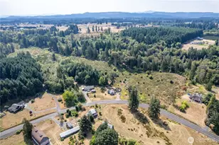 0 Newaukum Valley Rd, Chehalis, WA 98532 - Photo 1